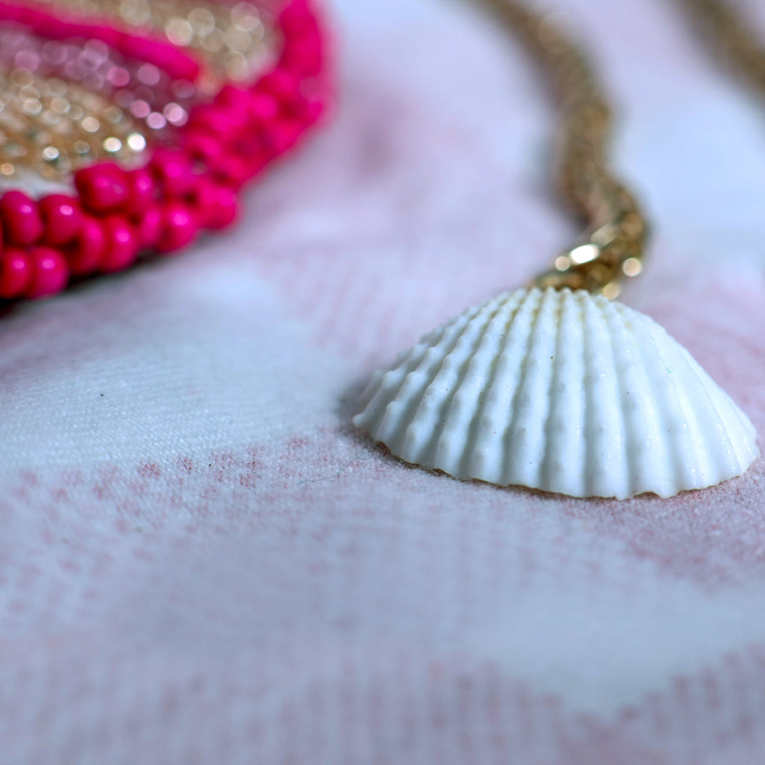 She Sells Seashells by the Seashore