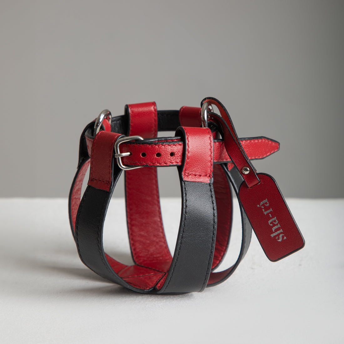 The Lemon Drop Concert Bag