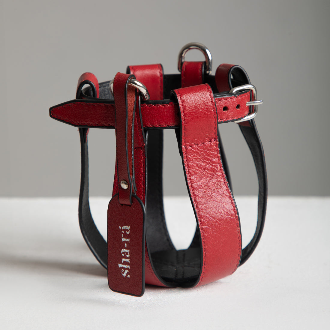 The Lemon Drop Concert Bag